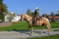 /album/foto1/dsc-0135-01-jpg/